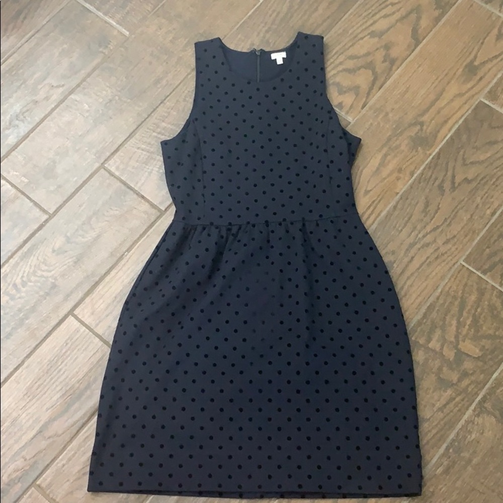 Black Polka Dot J.Crew Dress